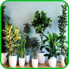 Indoor Plants icon