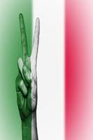 Cara Berbicara Italia screenshot 1
