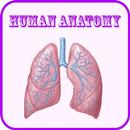 Human Anatomy APK