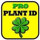 PlantNet ID - Garten-Blumen-Antworten APK