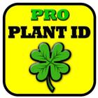 Plantnet ID - Garden Flower Answers icon