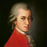 Wolfgang Amadeus Mozart Classi icono