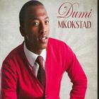 Dumi Mkokstad Songs biểu tượng