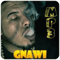 Gnawi