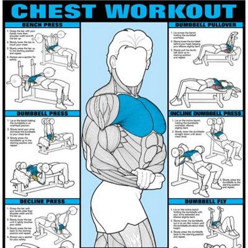 All Chest Exercises