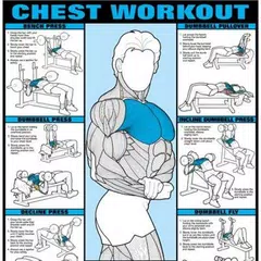 All Chest Exercises APK download