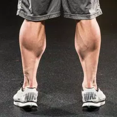 All Calves exercises