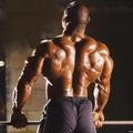 musculation trapèzes