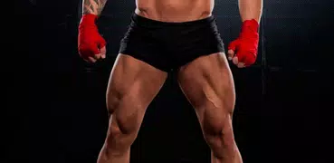 All Quadriceps exercises