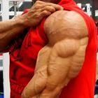 All Triceps exercises ikon