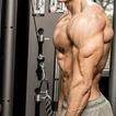 3-Move for For Bigger Triceps