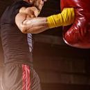 How To Train Like An MMA fighters APK