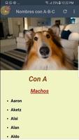 Nombres para Mascotas screenshot 3