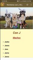 Nombres para Mascotas screenshot 2