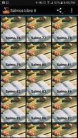 Salmos Libro II Affiche