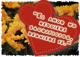 Frases de amor con girasoles penulis hantaran