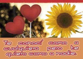 Frases de amor con girasoles تصوير الشاشة 1