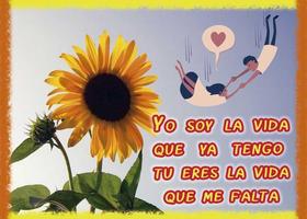 Frases de amor con girasoles скриншот 2