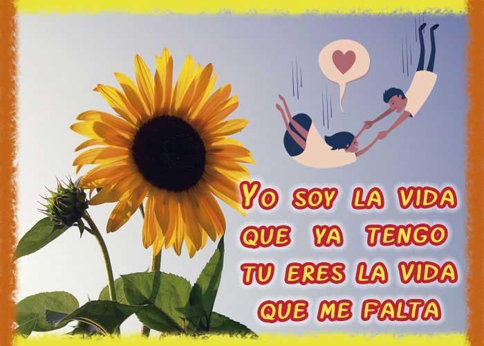 Frases De Amor Con Girasoles For Android Apk Download - 24 horas callada con mi novio en roblox youtube