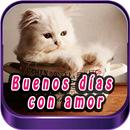 Buenos Días con Gatitos de Amor APK