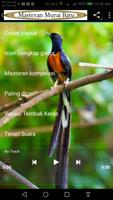 Masteran Murai Batu screenshot 1
