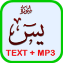 Surah Yasin MP3 + Text Offline APK