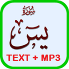 Surah Yasin MP3 + Text Offline icône