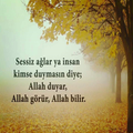 Dini Durum Sözleri