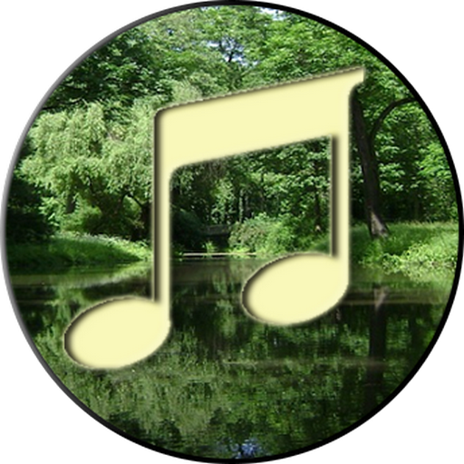 Forest Sound Nature and Sleep