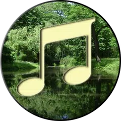 Forest Sound Nature and Sleep APK download