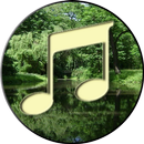 Forest Sound Nature and Sleep APK