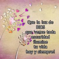 Frases y Bendiciones de Dios capture d'écran 2