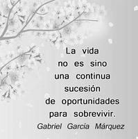 Frases sobre la Vida スクリーンショット 2