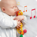 Song Baby 2020