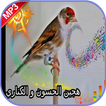 صوت مايسترو الحسون بدون انترنت