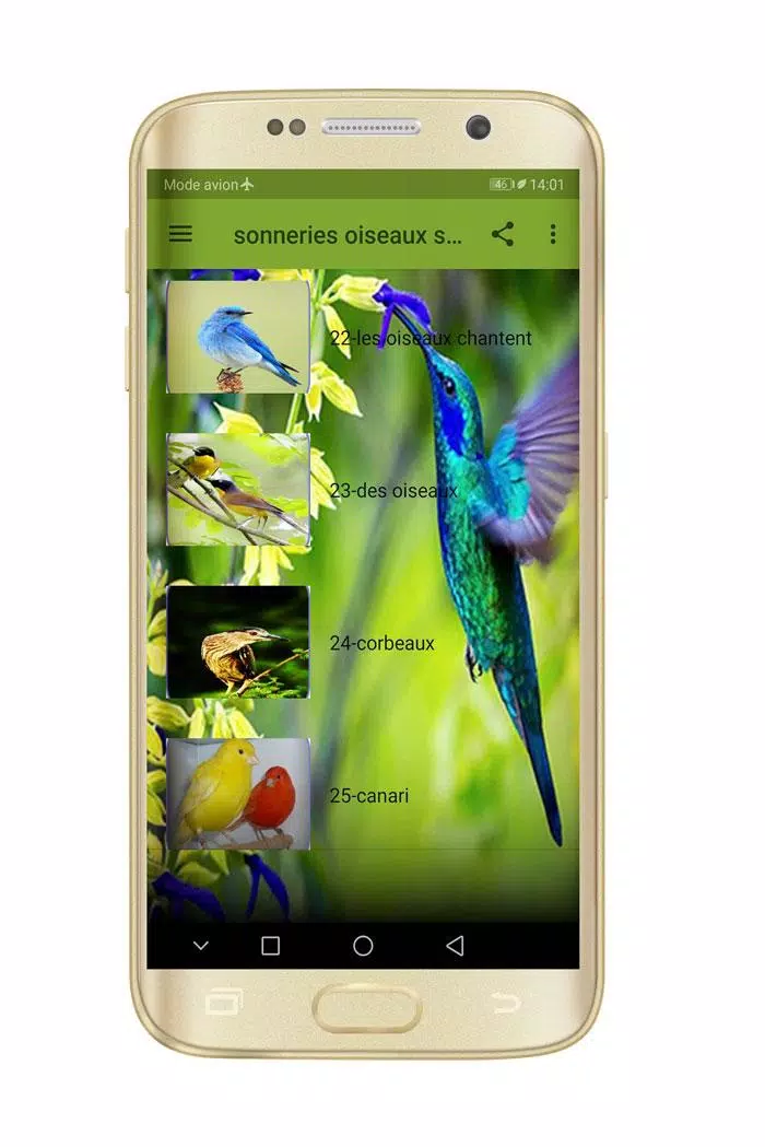 sonneries oiseaux sans internet APK pour Android Télécharger