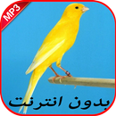 صوت الكناري بدون نت APK