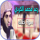 سورة طه رعد الكردي بدون نت APK