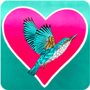 Heart Wallpaper APK