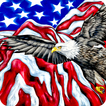 ”American Flag Wallpaper