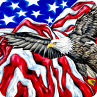 American Flag Wallpaper simgesi