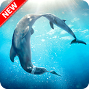 Dolphins Wallpaper APK
