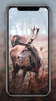 3 Schermata Deer Wallpapers