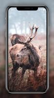 Deer Wallpapers screenshot 3