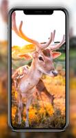 2 Schermata Deer Wallpapers