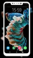 Betta Fish Wallpaper 截图 3