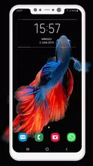 Betta Fish Wallpaper XAPK download