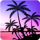 Palm Tree Wallpapers APK