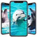 Dolphin Wallpaper APK