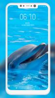 Dolphin Wallpaper capture d'écran 1